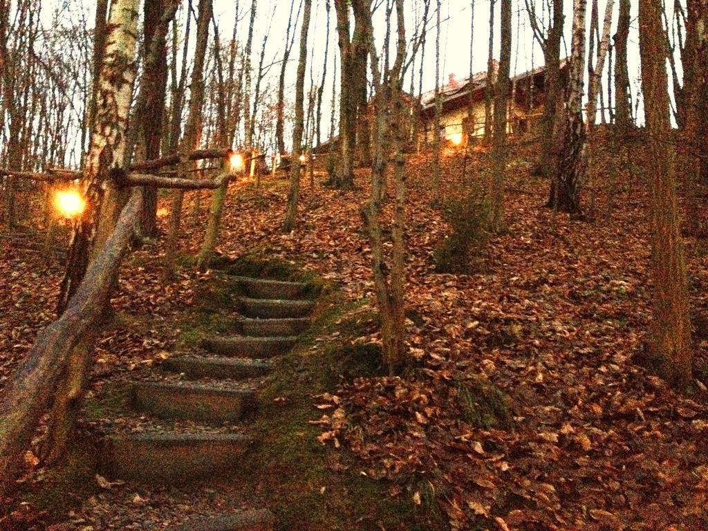 Osrodek Kwaskowa Villa Kazimierz Dolny Eksteriør bilde