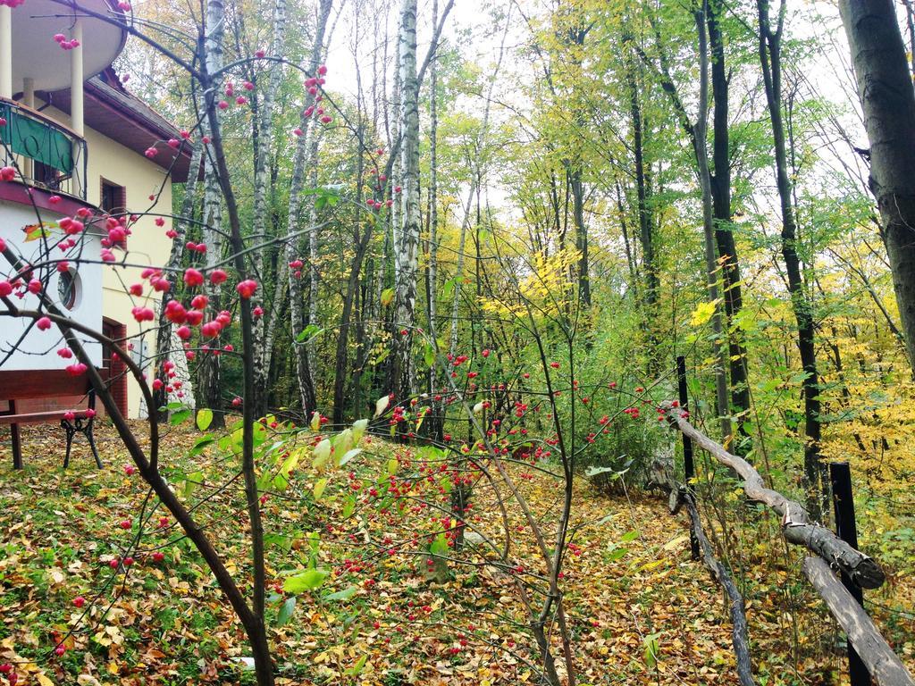 Osrodek Kwaskowa Villa Kazimierz Dolny Eksteriør bilde