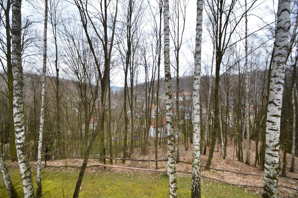 Osrodek Kwaskowa Villa Kazimierz Dolny Eksteriør bilde